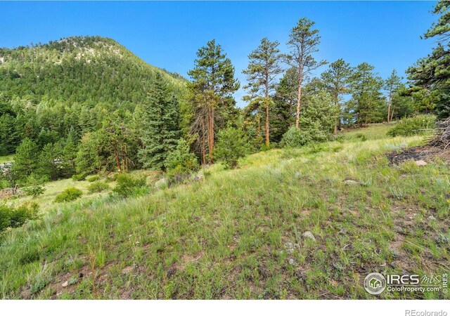 15 Estes Valley View Ct, Estes Park, CO 80517 - photo 37