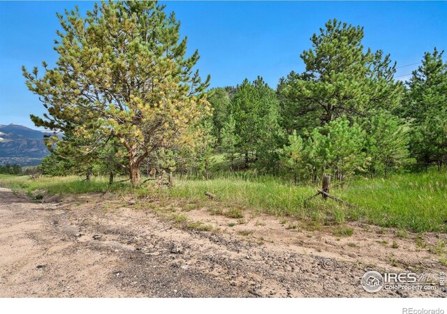 15 Estes Valley View Ct, Estes Park, CO 80517 - photo 39