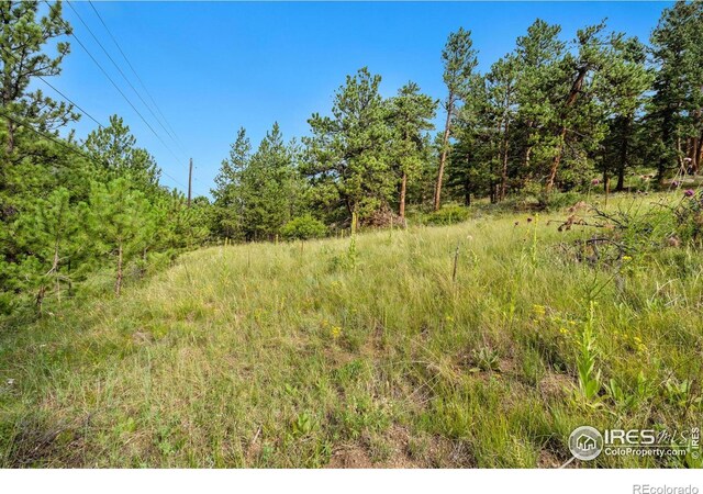 15 Estes Valley View Ct, Estes Park, CO 80517 - photo 40
