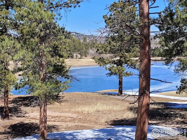 1001 Fox Acres Dr E, Red Feather Lakes, CO 80545