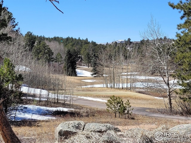 1001 Fox Acres Dr E, Red Feather Lakes, CO 80545