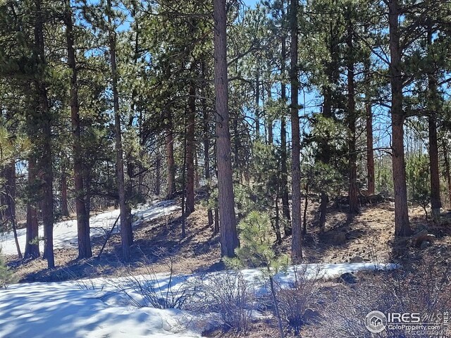 1001 Fox Acres Dr E, Red Feather Lakes, CO 80545
