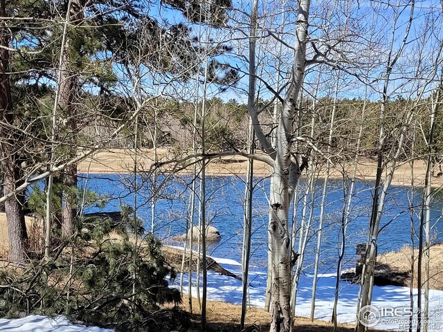 1001 Fox Acres Dr E, Red Feather Lakes, CO 80545