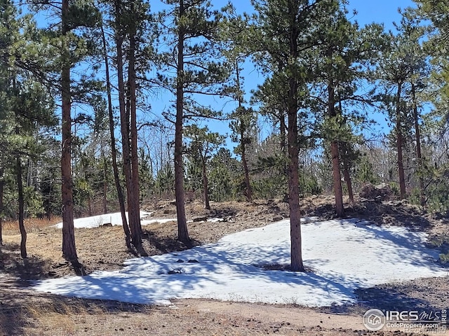 1001 Fox Acres Dr E, Red Feather Lakes, CO 80545