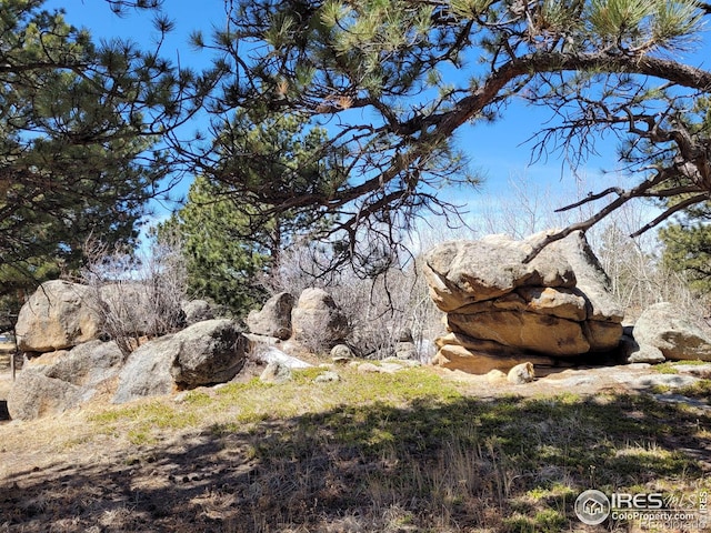 1001 Fox Acres Dr E, Red Feather Lakes, CO 80545