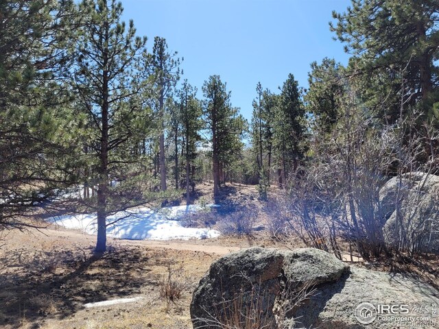 1001 Fox Acres Dr E, Red Feather Lakes, CO 80545