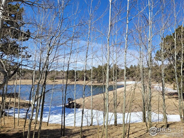 1001 Fox Acres Dr E, Red Feather Lakes, CO 80545