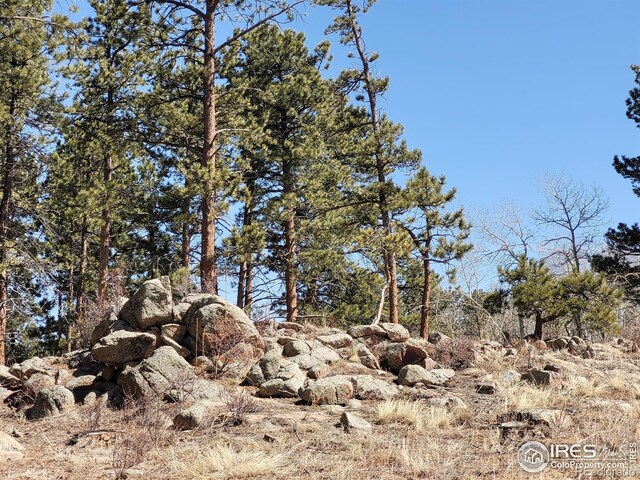 1001 Fox Acres Dr E, Red Feather Lakes, CO 80545