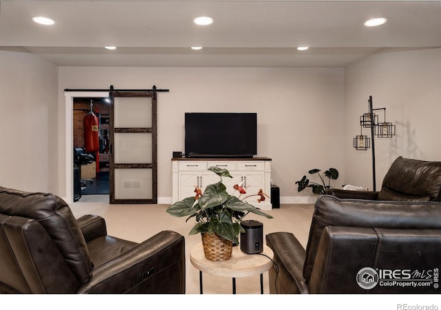 524 Vermilion Peak Dr, Windsor, CO 80550 - photo 26