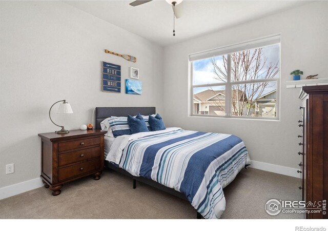 524 Vermilion Peak Dr, Windsor, CO 80550 - photo 18