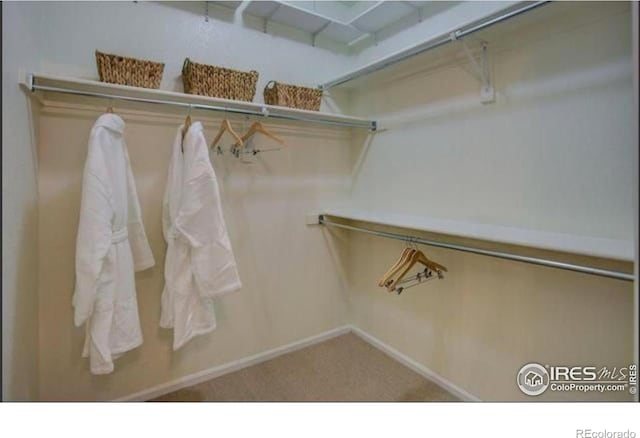 view of spacious closet