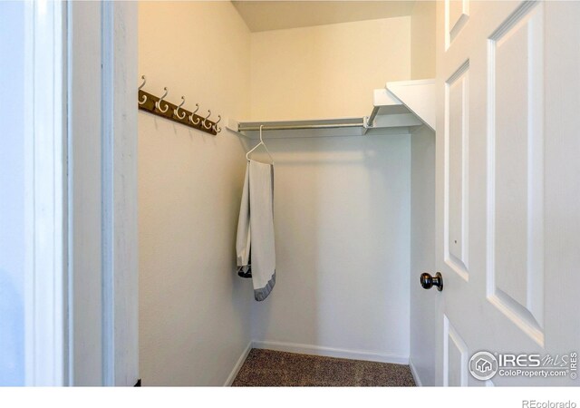 3336 Mammoth Cir, Wellington, CO 80549 - photo 14