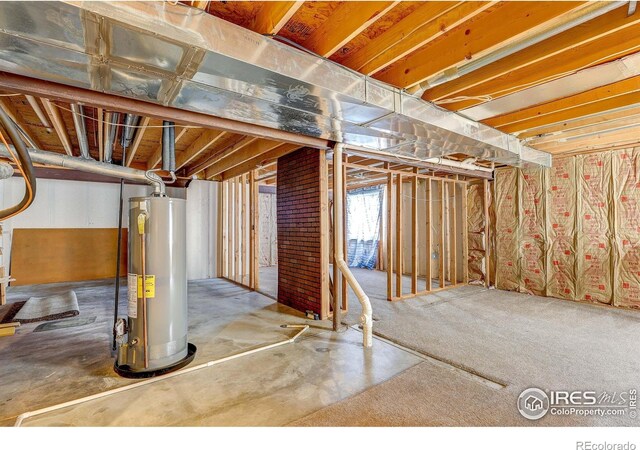 3336 Mammoth Cir, Wellington, CO 80549 - photo 23
