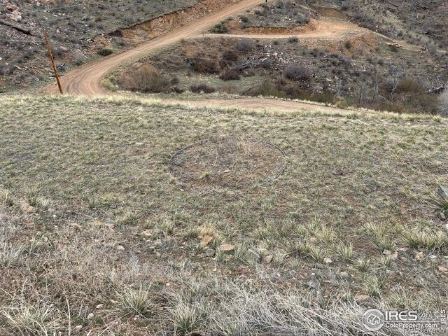 1425 Horse Mountain Dr, Livermore, CO 80536