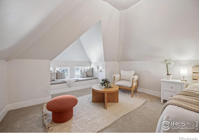 3059 N York St, Denver, CO 80205 - bedroom with carpet flooring, baseboards, and lofted ceiling