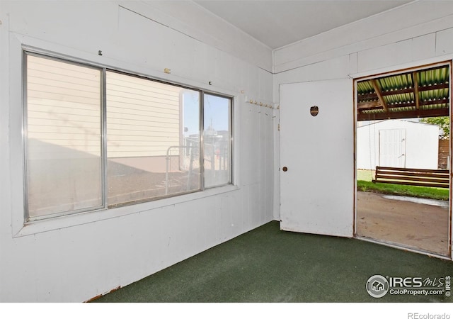 empty room featuring carpet