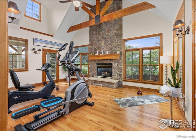8924 Prairie Knoll Dr, Longmont, CO 80503 - photo 16
