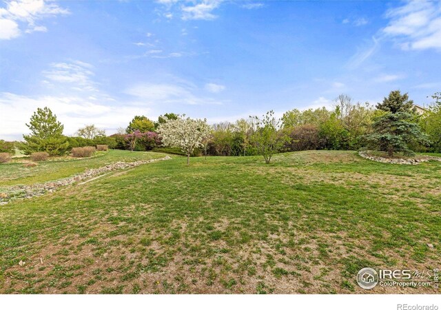 8924 Prairie Knoll Dr, Longmont, CO 80503 - photo 36