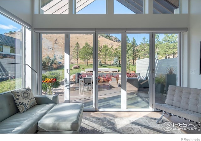 entryway featuring a towering ceiling