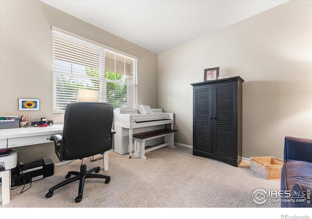 6747 Grainery Rd, Timnath, CO 80547 - view of carpeted office