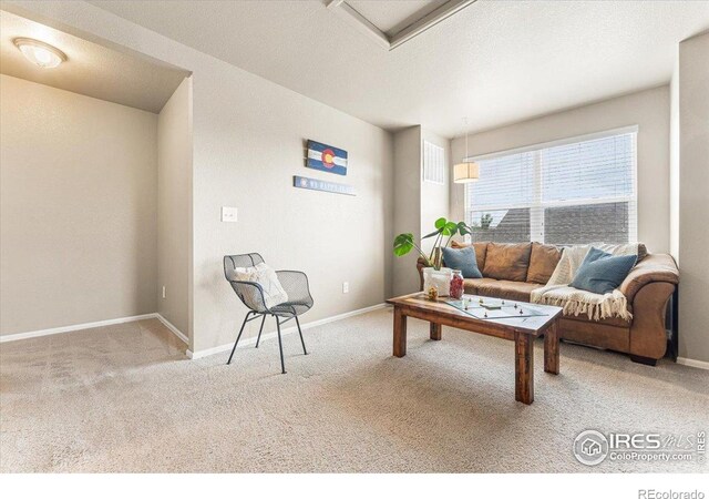 6747 Grainery Rd, Timnath, CO 80547 - carpeted living room with baseboards