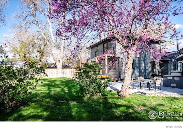 view of yard with a patio and fence