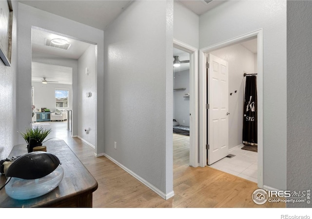 2000 Rose Petal Dr, Windsor, CO 80550 - hall with light wood-style flooring, a textured wall, and baseboards