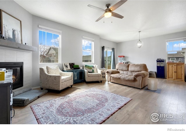 2000 Rose Petal Dr, Windsor, CO 80550 - living area with healthy amount of natural light, wood finished floors, a ceiling fan, and a glass covered fireplace