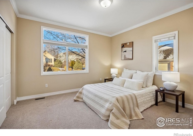 bedroom featuring crown molding, carpet floors, and multiple windows