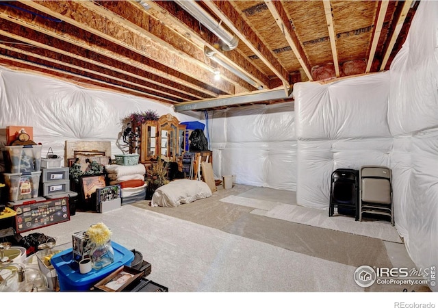 unfinished basement with carpet