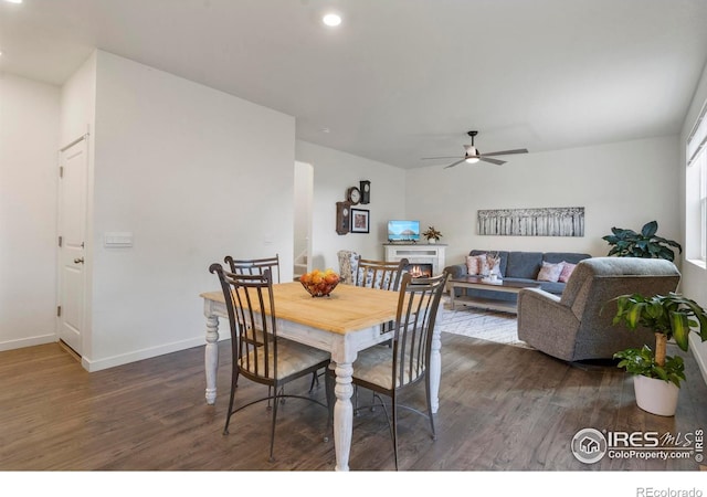 3759 Catmint St, Wellington, CO 80549 - dining space with ceiling fan, a lit fireplace, baseboards, dark wood-style floors, and recessed lighting
