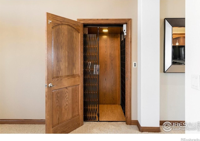 interior details featuring baseboards and carpet floors