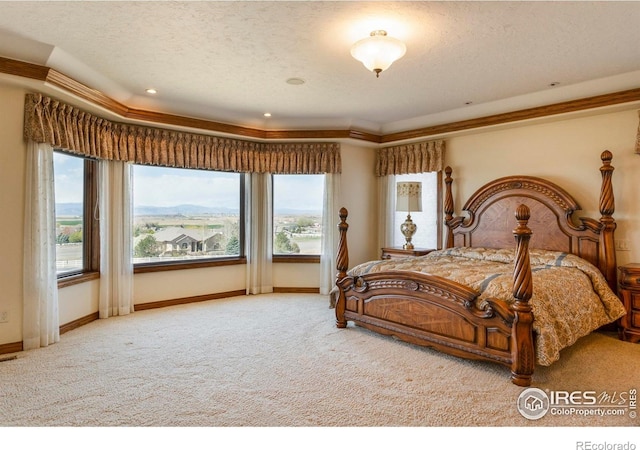 bedroom with carpet floors, baseboards, and a textured ceiling