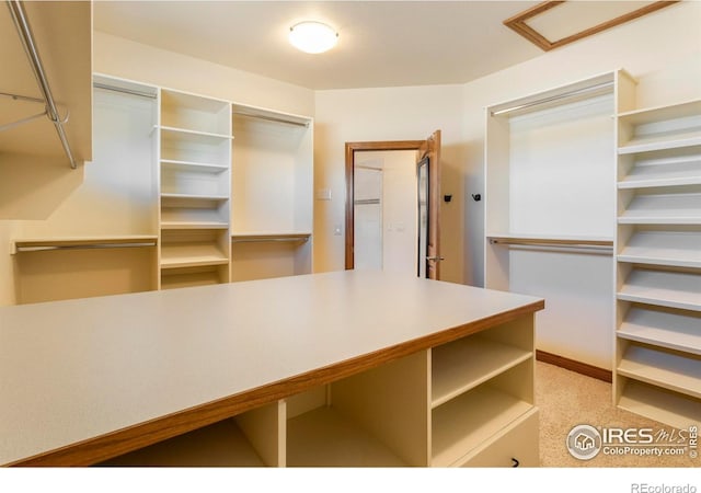 view of spacious closet