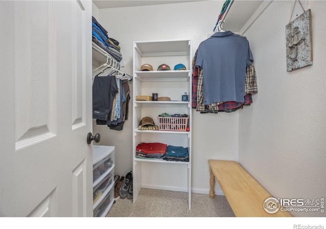 109 Whitney Ct, Windsor, CO 80550 - view of walk in closet