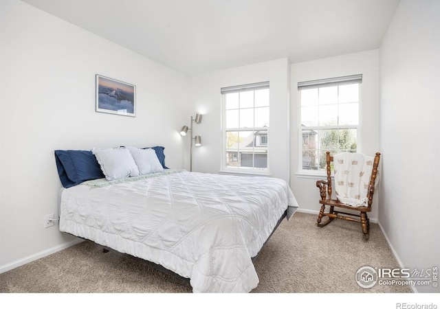 109 Whitney Ct, Windsor, CO 80550 - bedroom with carpet floors and baseboards