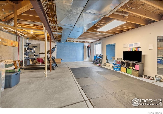 109 Whitney Ct, Windsor, CO 80550 - view of below grade area