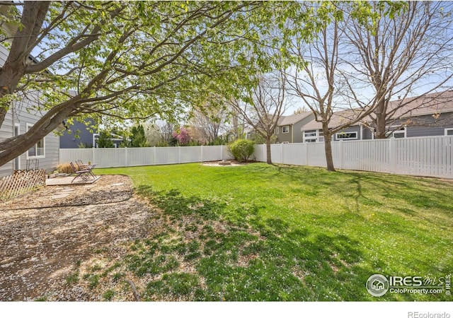109 Whitney Ct, Windsor, CO 80550 - view of yard