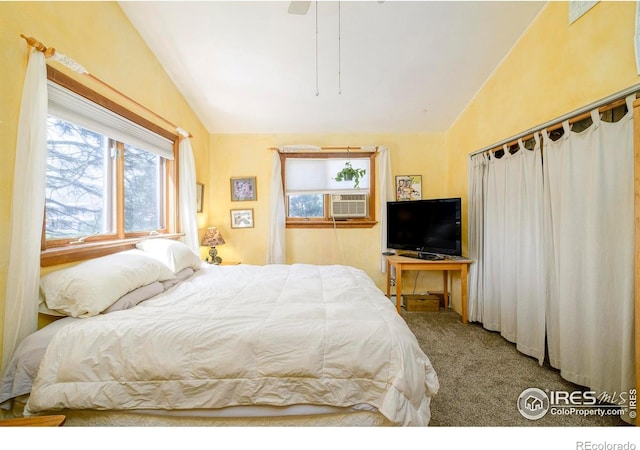 1800 Sumac Ave, Boulder, CO 80304 - bedroom featuring lofted ceiling, multiple windows, a ceiling fan, and carpet floors