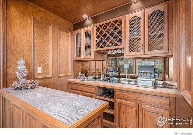 bar featuring a sink, indoor wet bar, and wooden walls