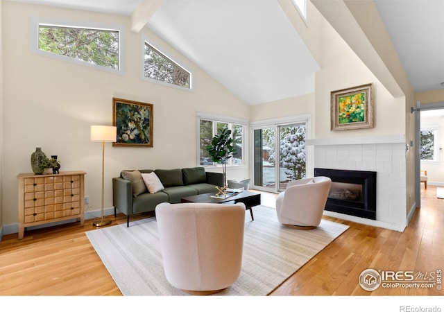 living room featuring high vaulted ceiling, a fireplace, wood finished floors, and a wealth of natural light