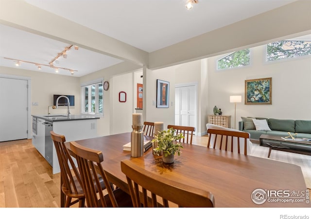 dining space featuring track lighting and light wood finished floors