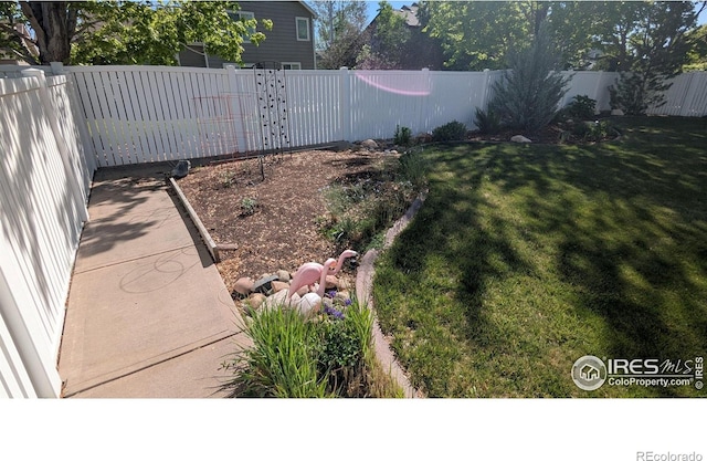 116 Rock Bridge Ct, Windsor, CO 80550 - view of yard