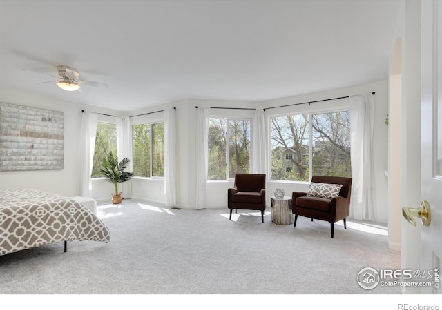4866 Franklin Dr, Boulder, CO 80301 - bedroom with carpet floors and baseboards