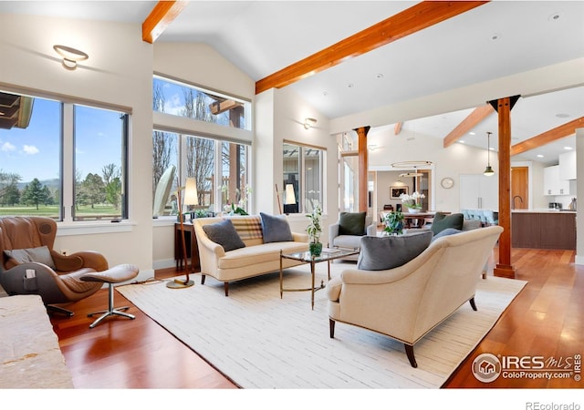 1533 Old Tale Rd, Boulder, CO 80303 - living room featuring plenty of natural light, vaulted ceiling with beams, and light wood-style flooring