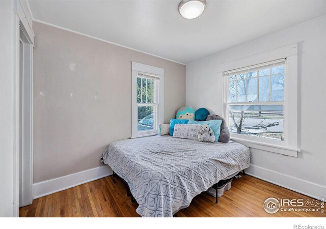 1313 14th St, Greeley, CO 80631 - photo 12