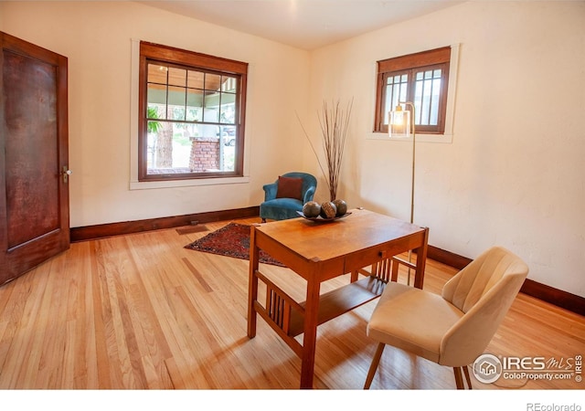 1114 5th Ave, Longmont, CO 80501 - office space featuring baseboards and light wood-type flooring