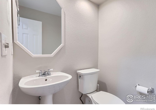 bathroom featuring a sink, a textured wall, and toilet