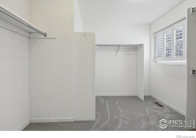 walk in closet with carpet flooring and visible vents