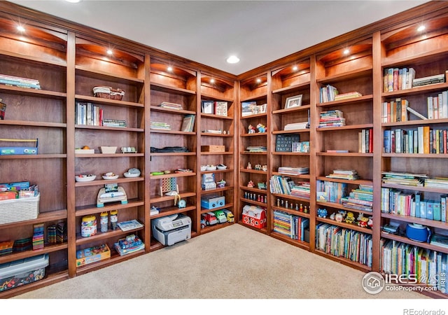 interior space featuring wall of books and carpet